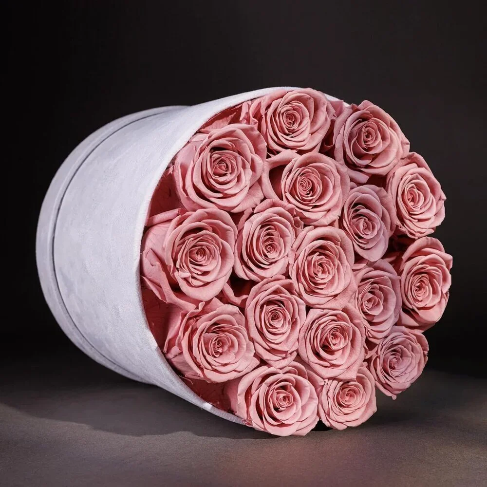 17 Flowers in a Luxury Suede Box Birthday Gifts Preserved Flowers Dusty Rose
